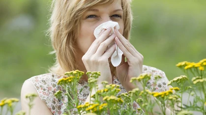 Hay fever's medical name, &apos;allergic rhinitis&apos;, is rooted in the ancient Greek word &apos;rhino&apos;, meaning &apos;nose&apos;