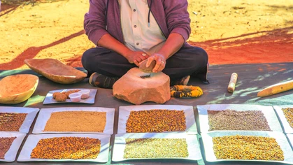 Kings Creek Station, Northern Territory, Australia - Aug 21, 2019: Australian Aboriginal woman crushes with a stone bush seeds at Karrke Aboriginal Cultural Experience tour near Kings Canyon.